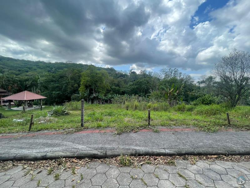 Terreno Código 14404 Venda no bairro Morro da Glória na cidade de Urussanga