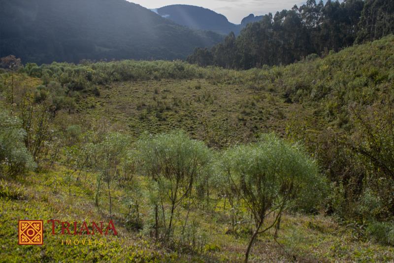 Terreno-Codigo-1239-a-Venda-no-bairro-LAGOA-PRETA-na-cidade-de-Rio-Rufino