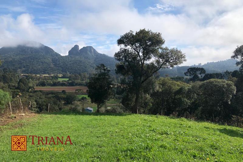 Terreno-Codigo-1304-a-Venda-no-bairro-LAGOA-PRETA-na-cidade-de-Rio-Rufino