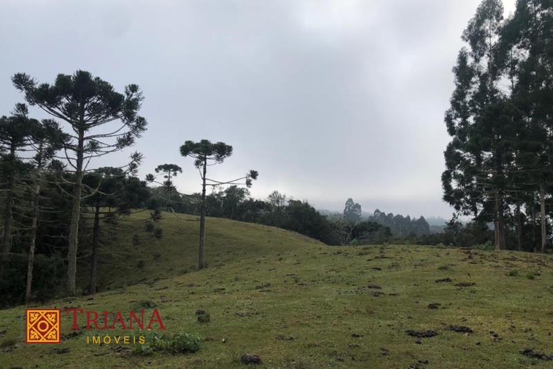 Terreno-Codigo-1309-a-Venda-no-bairro-LAGOA-PRETA-na-cidade-de-Rio-Rufino