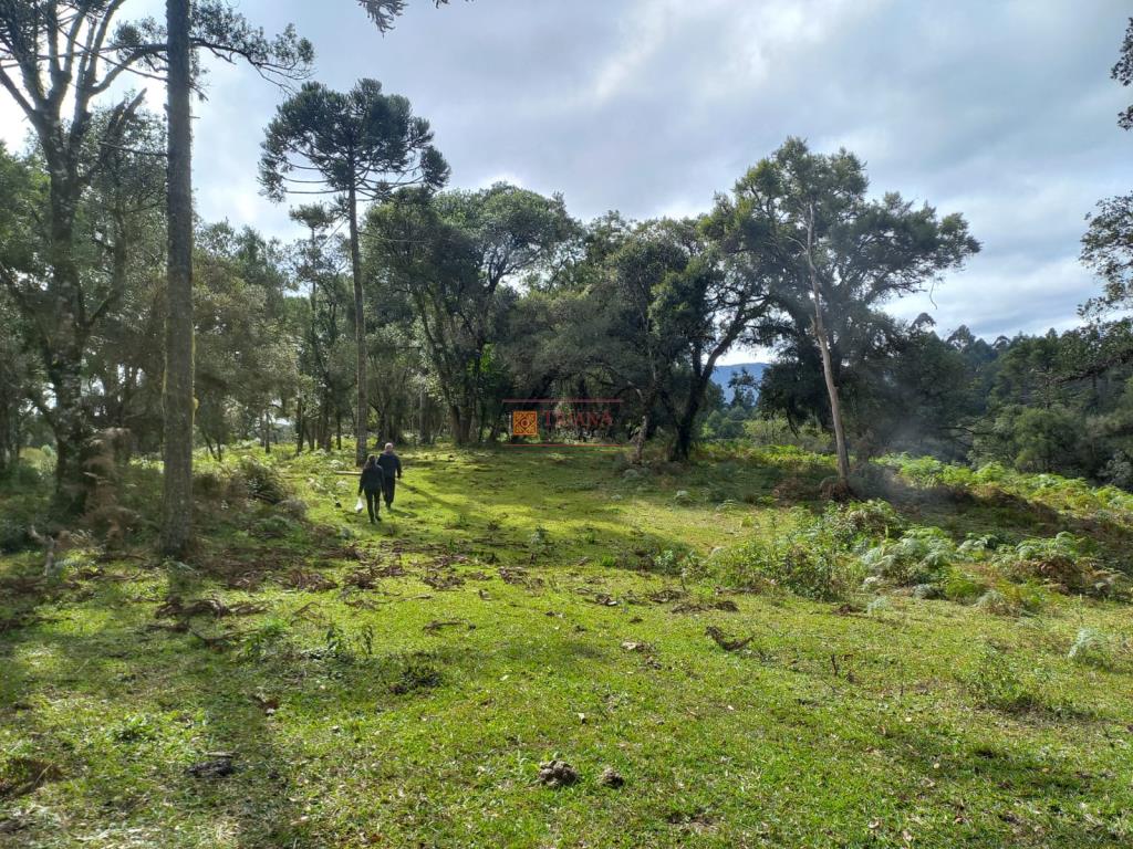 Terreno-Codigo-1350-a-Venda-no-bairro-RIO-DE-AREIA-na-cidade-de-Rio-Rufino