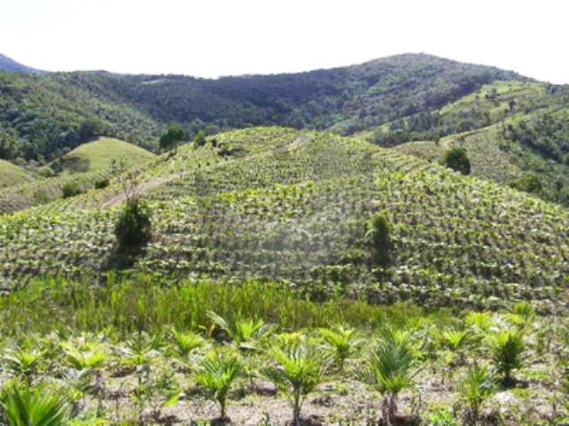 Fazenda à venda, 440000m² - Foto 2