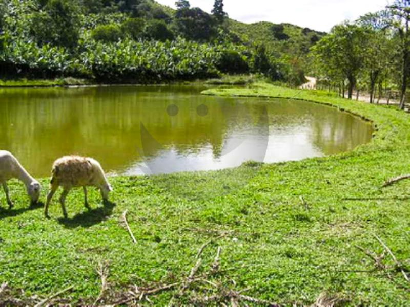 Fazenda à venda, 440000m² - Foto 3