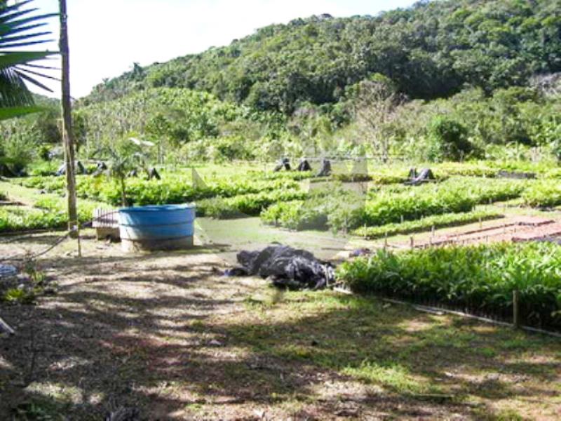 Fazenda à venda, 440000m² - Foto 6