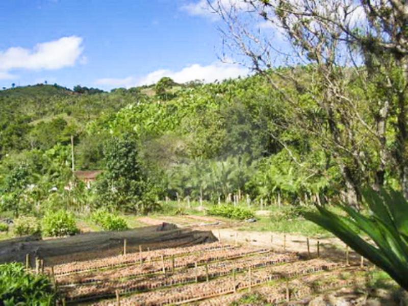 Fazenda à venda, 440000m² - Foto 7