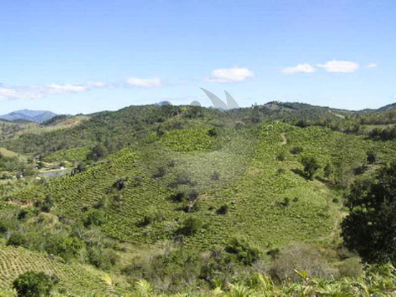 Fazenda à venda, 440000m² - Foto 8