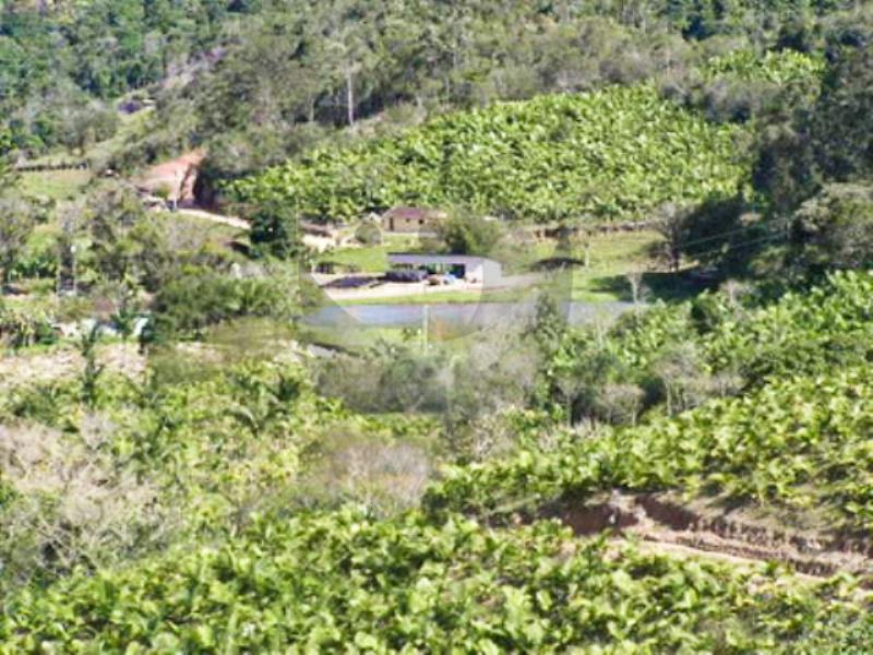 Fazenda à venda, 440000m² - Foto 9