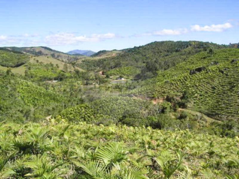 Fazenda à venda, 440000m² - Foto 10