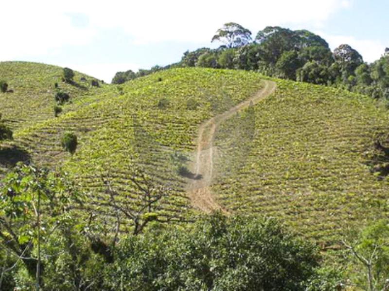 Fazenda à venda, 440000m² - Foto 11