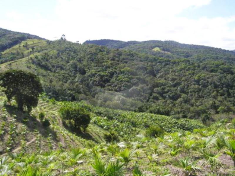 Fazenda à venda, 440000m² - Foto 12