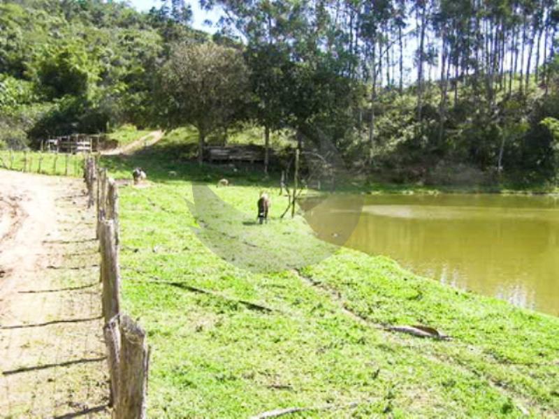 Fazenda à venda, 440000m² - Foto 14