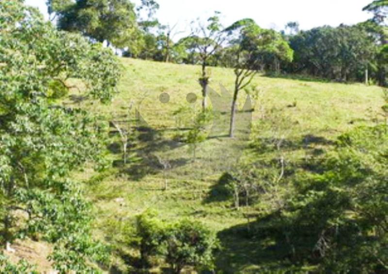 Fazenda à venda com 1 quarto, 50000m² - Foto 5