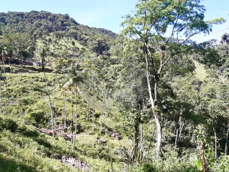 Fazenda à venda com 4 quartos, 19560m² - Foto 14