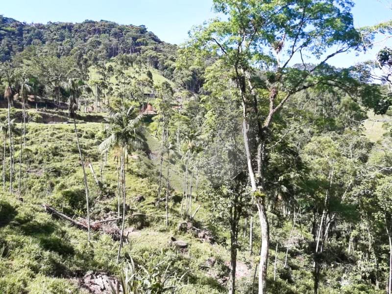 Fazenda à venda com 4 quartos, 19560m² - Foto 15