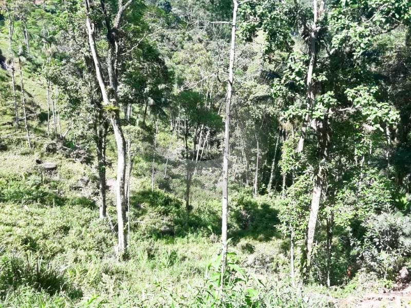 Fazenda à venda com 4 quartos, 19560m² - Foto 16