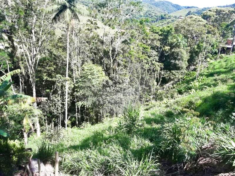 Fazenda à venda com 4 quartos, 19560m² - Foto 18