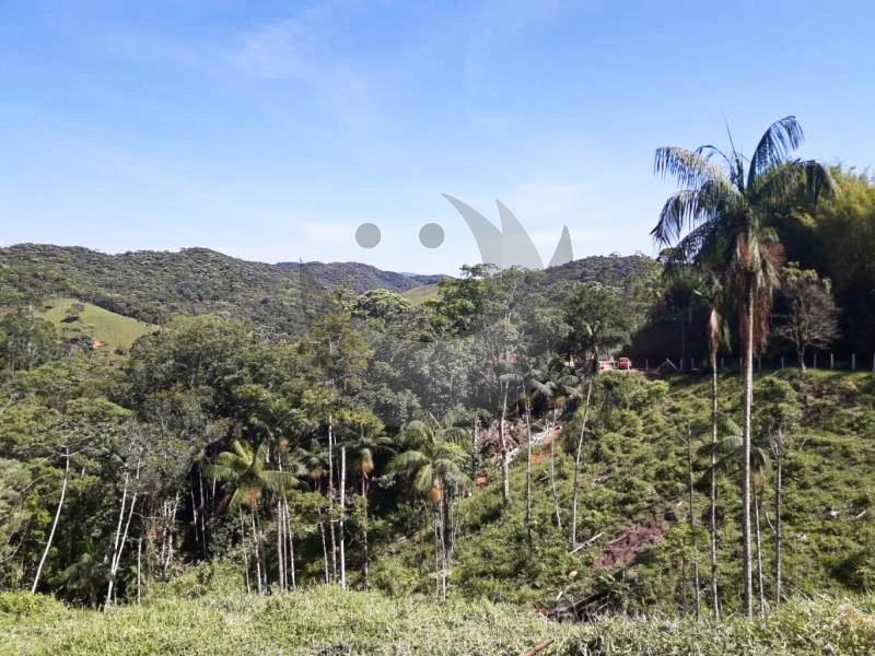 Fazenda à venda com 4 quartos, 19560m² - Foto 19