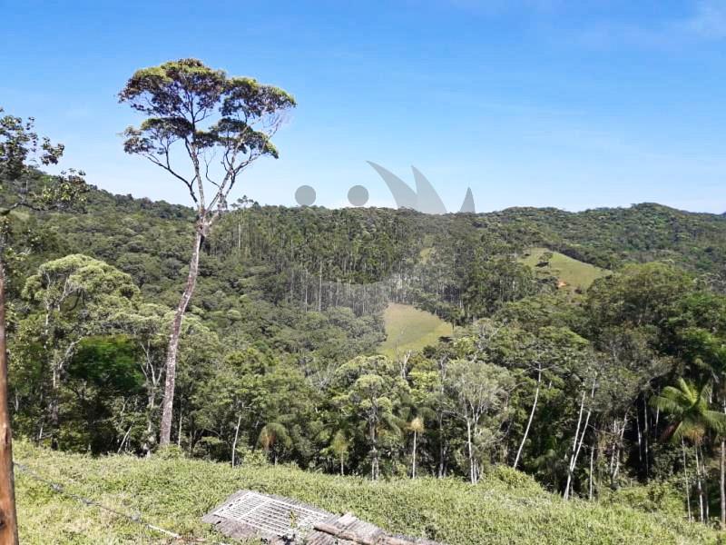 Fazenda à venda com 4 quartos, 19560m² - Foto 20