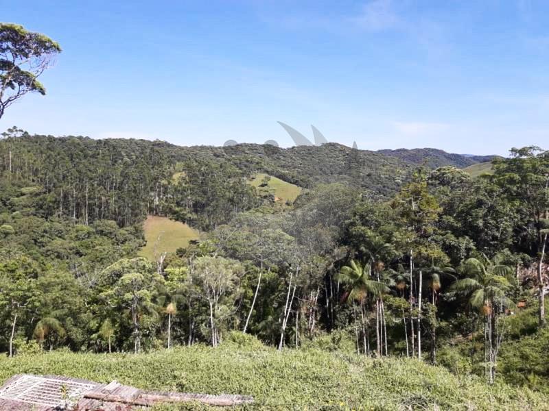 Fazenda à venda com 4 quartos, 19560m² - Foto 21