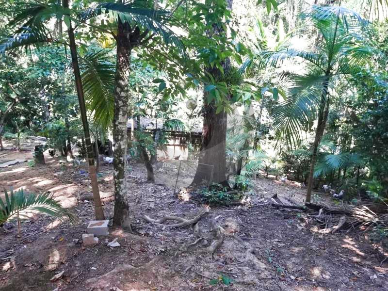 Fazenda à venda com 4 quartos, 19560m² - Foto 12