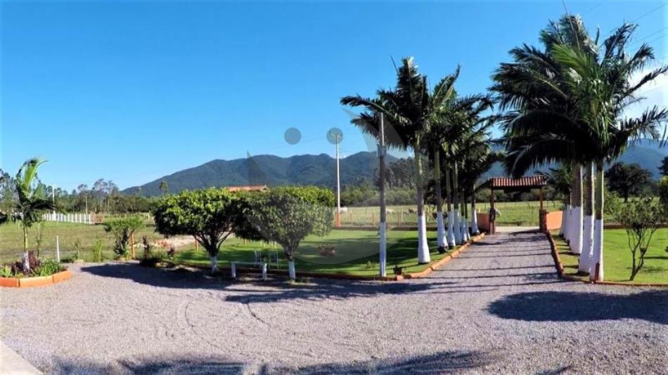 Fazenda à venda com 3 quartos, 21600m² - Foto 5