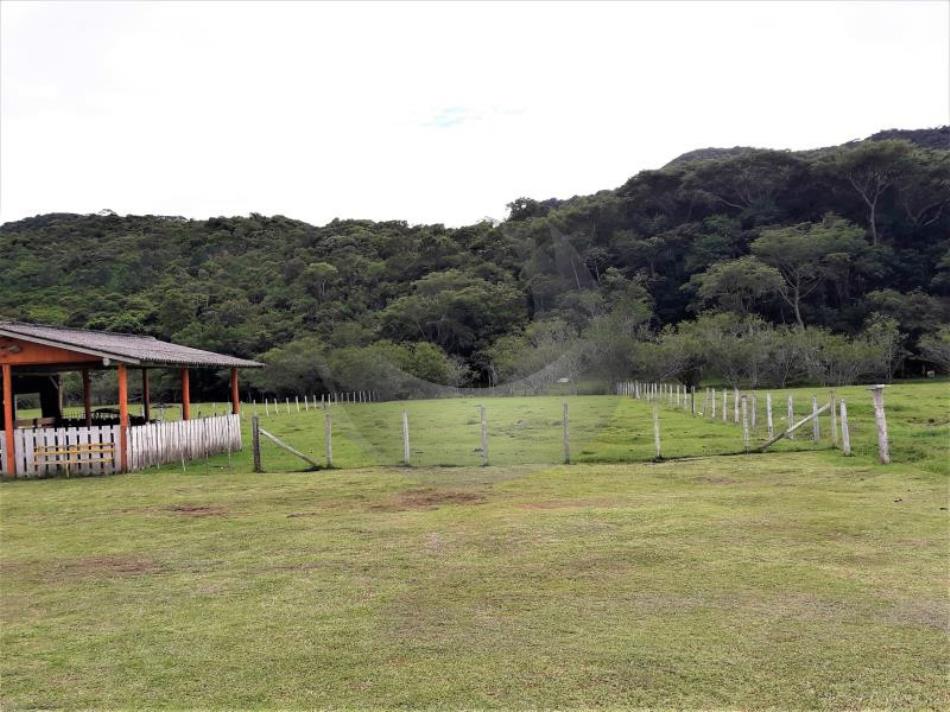 Fazenda à venda com 3 quartos, 21600m² - Foto 17