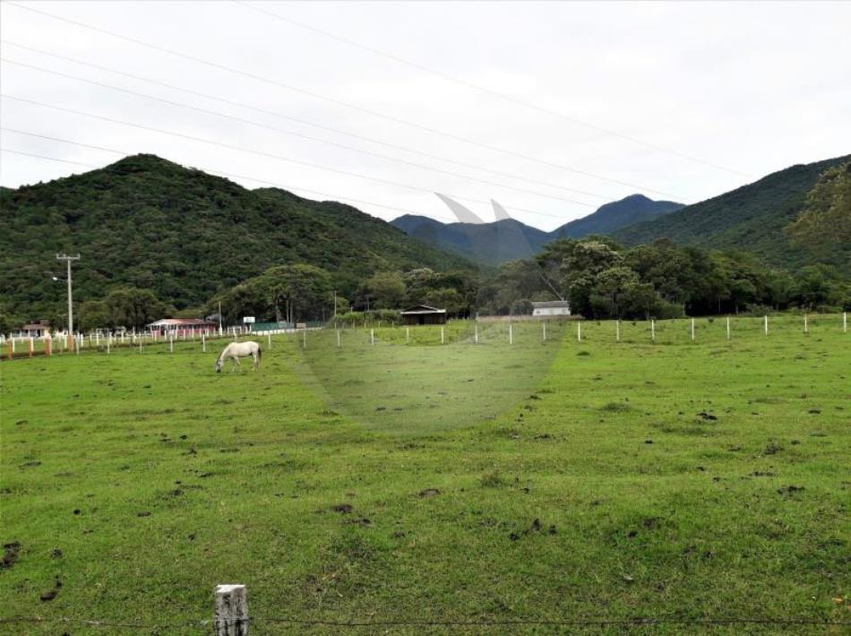 Fazenda à venda com 3 quartos, 21600m² - Foto 18