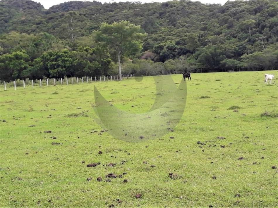 Fazenda à venda com 3 quartos, 21600m² - Foto 20