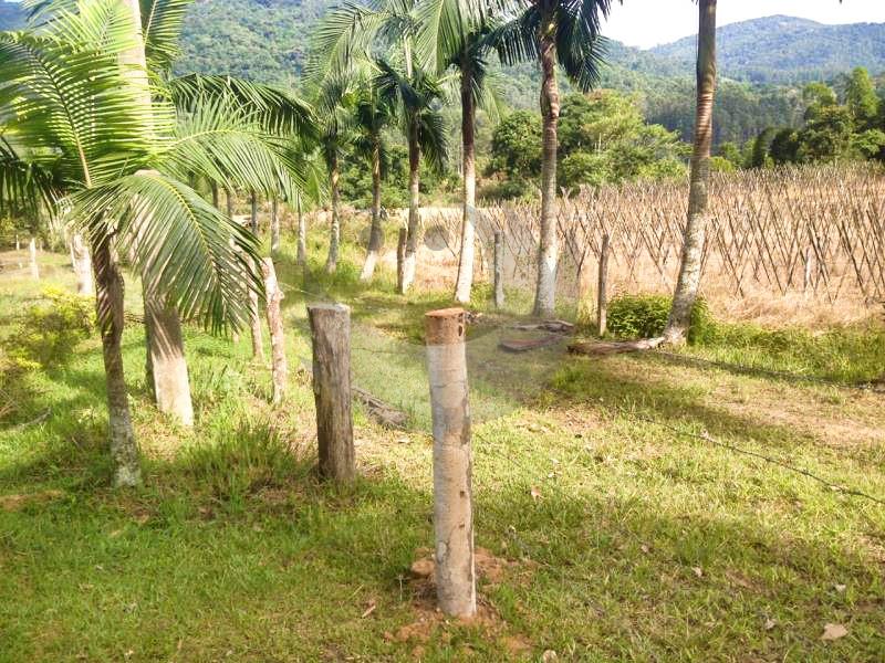 Fazenda à venda com 2 quartos, 27000m² - Foto 19