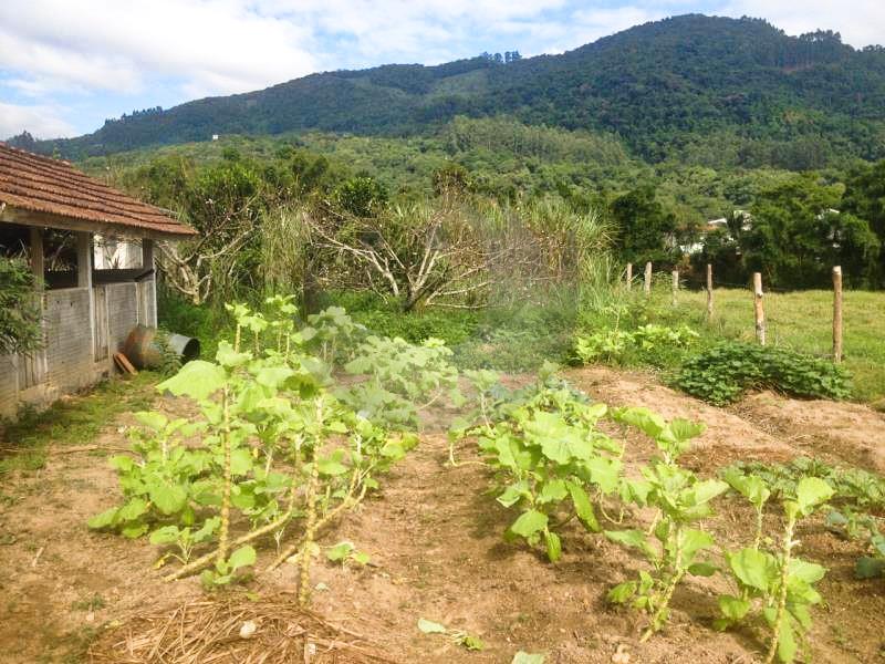 Fazenda à venda com 2 quartos, 27000m² - Foto 21