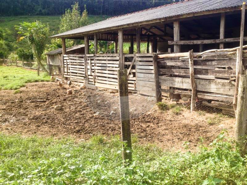 Fazenda à venda com 2 quartos, 27000m² - Foto 23