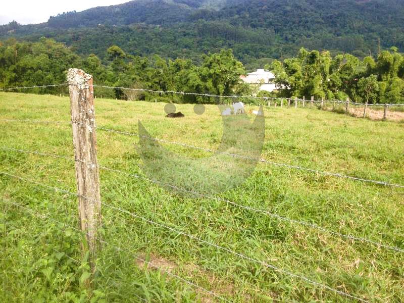 Fazenda à venda com 2 quartos, 27000m² - Foto 27