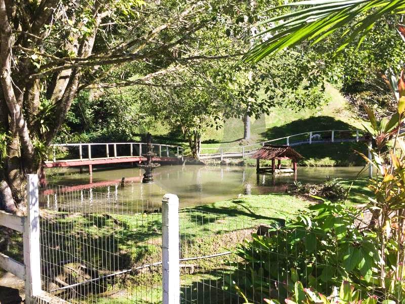 Fazenda à venda com 5 quartos, 53924m² - Foto 35