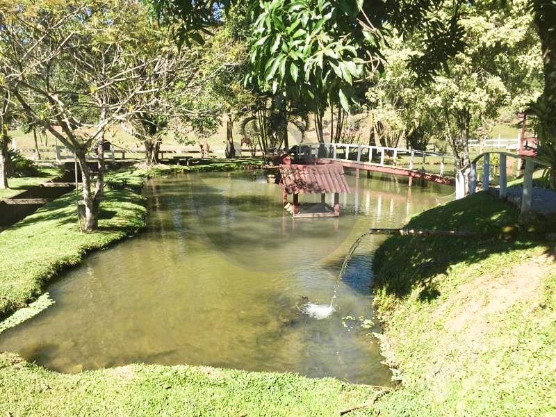 Fazenda à venda com 5 quartos, 53924m² - Foto 36