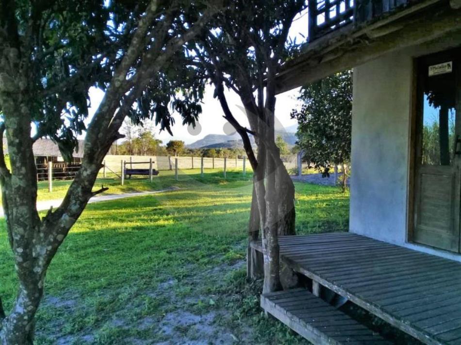 Fazenda à venda com 3 quartos, 2450m² - Foto 3