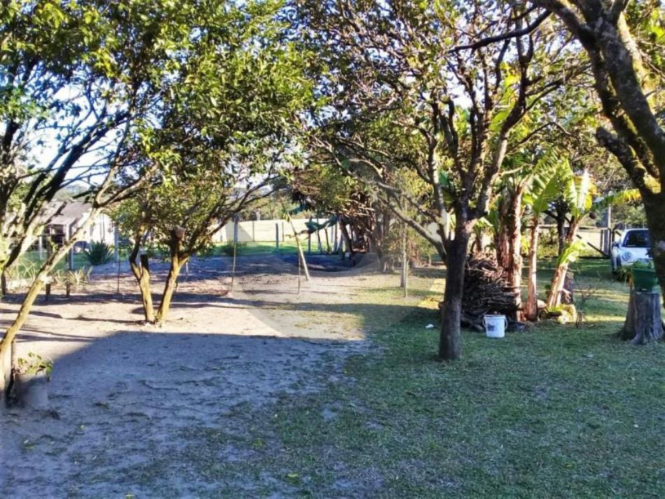 Fazenda à venda com 3 quartos, 2450m² - Foto 5