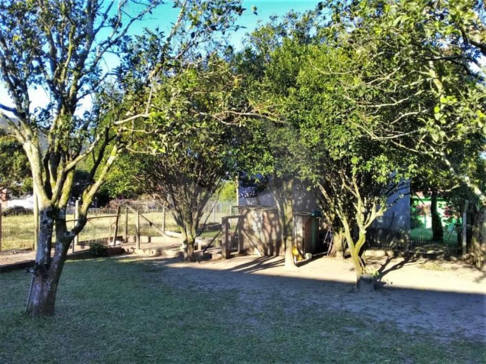 Fazenda à venda com 3 quartos, 2450m² - Foto 6