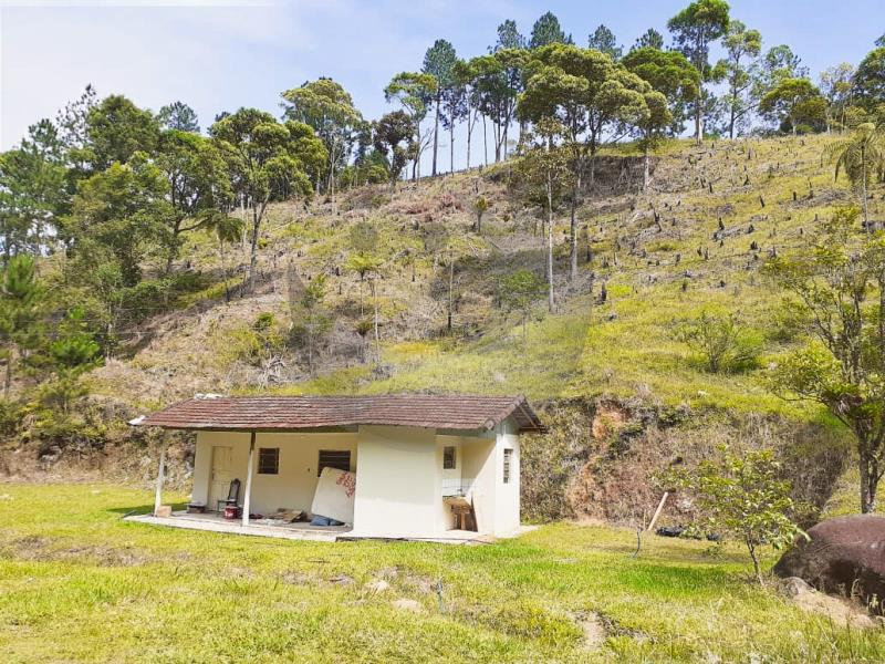 Fazenda à venda com 1 quarto, 258595m² - Foto 3