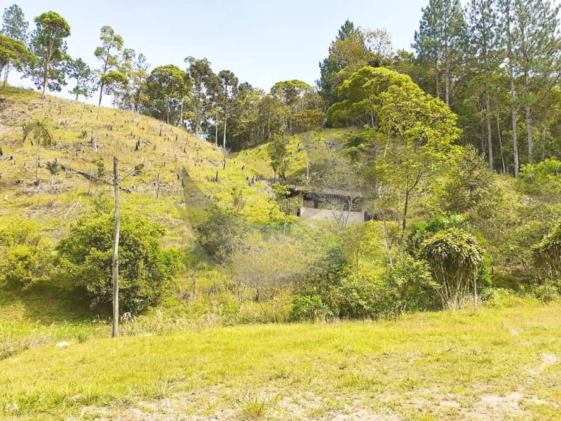 Fazenda à venda com 1 quarto, 258595m² - Foto 4