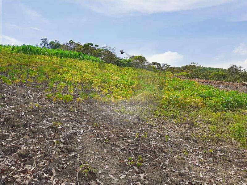 Fazenda à venda com 1 quarto, 258595m² - Foto 16