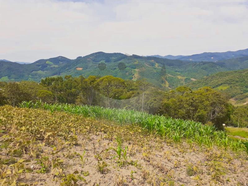 Fazenda à venda com 1 quarto, 258595m² - Foto 17