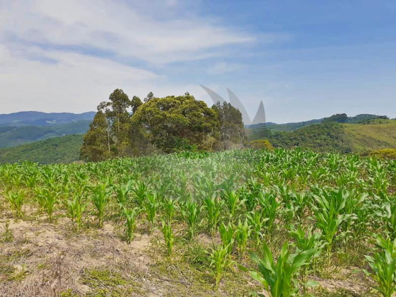 Fazenda à venda com 1 quarto, 258595m² - Foto 19