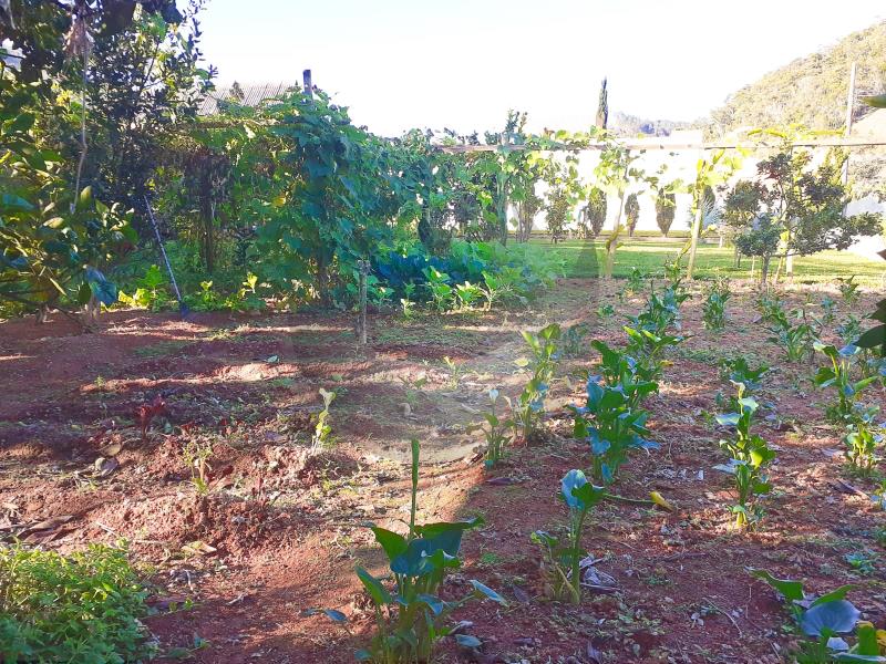 Fazenda à venda com 2 quartos, 2000m² - Foto 22