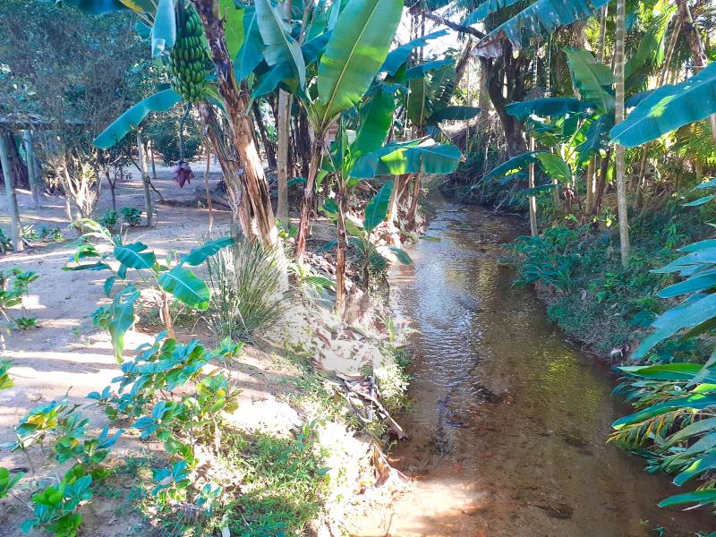 Fazenda à venda com 2 quartos, 2000m² - Foto 28