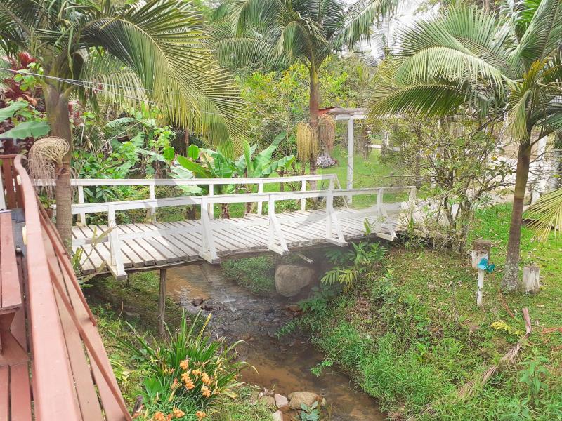 Fazenda à venda com 3 quartos, 10000m² - Foto 17