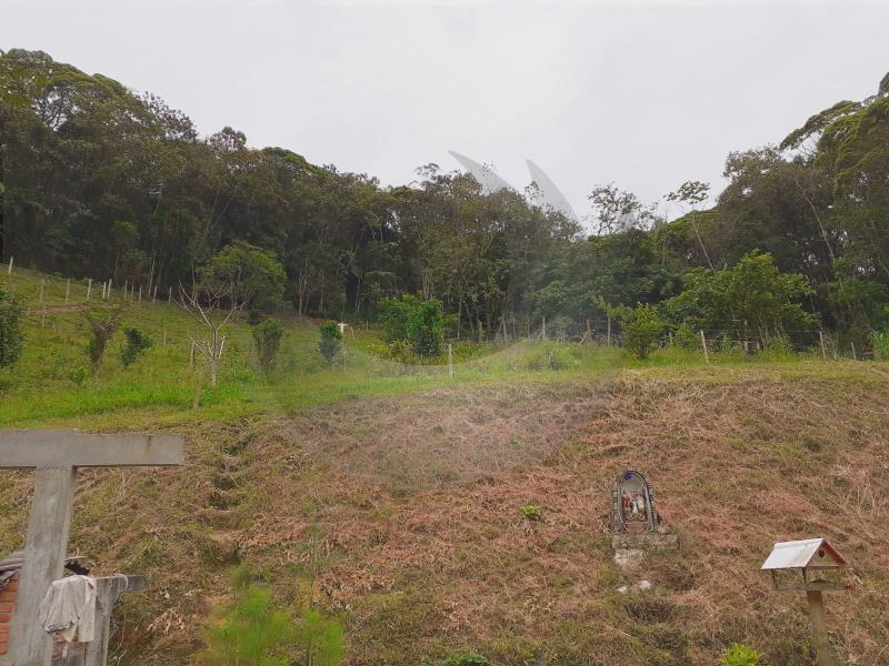 Fazenda à venda com 3 quartos, 10000m² - Foto 20