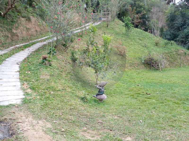 Fazenda à venda com 3 quartos, 2401m² - Foto 11