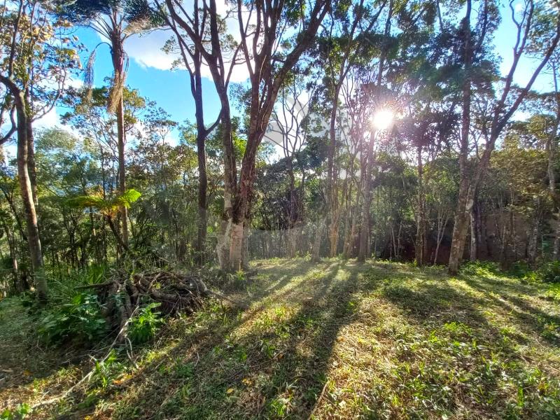 Terreno à venda, 1642m² - Foto 5