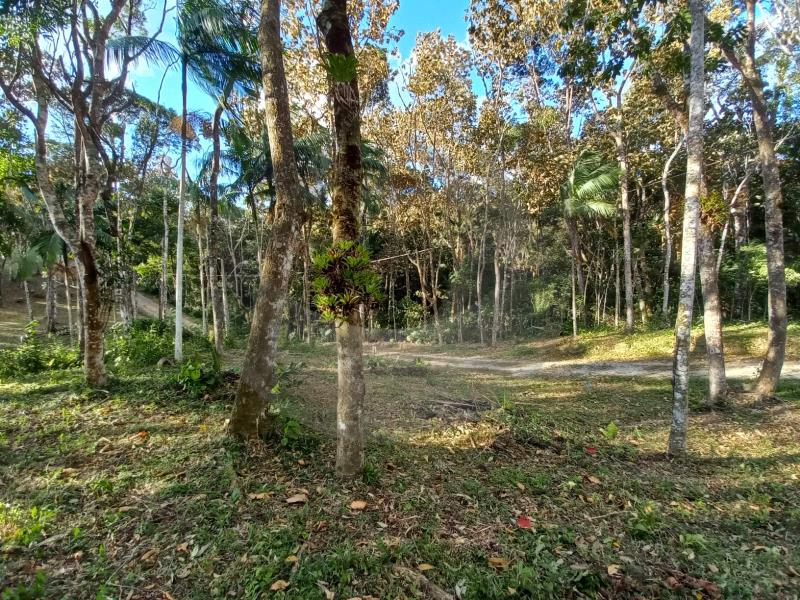 Terreno à venda, 1642m² - Foto 6