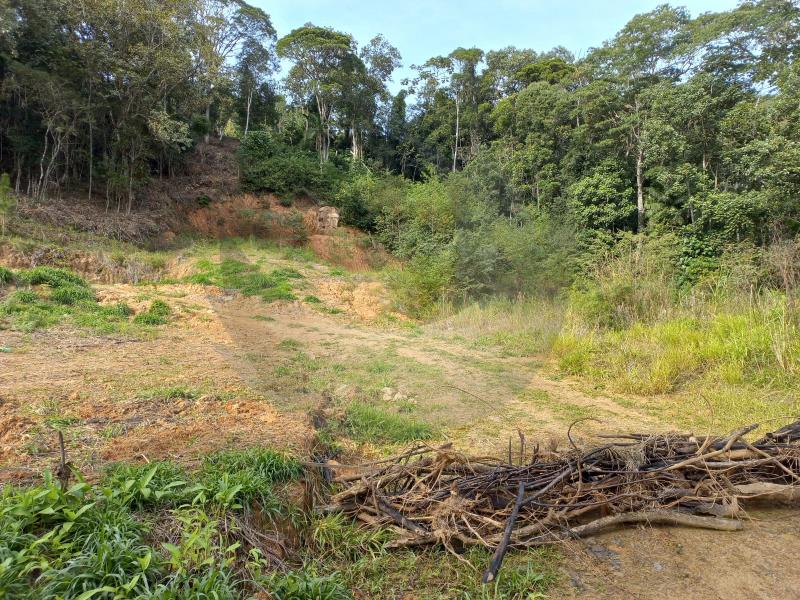 Loteamento e Condomínio à venda, 3000m² - Foto 5